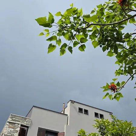 Astravi יאליסוס